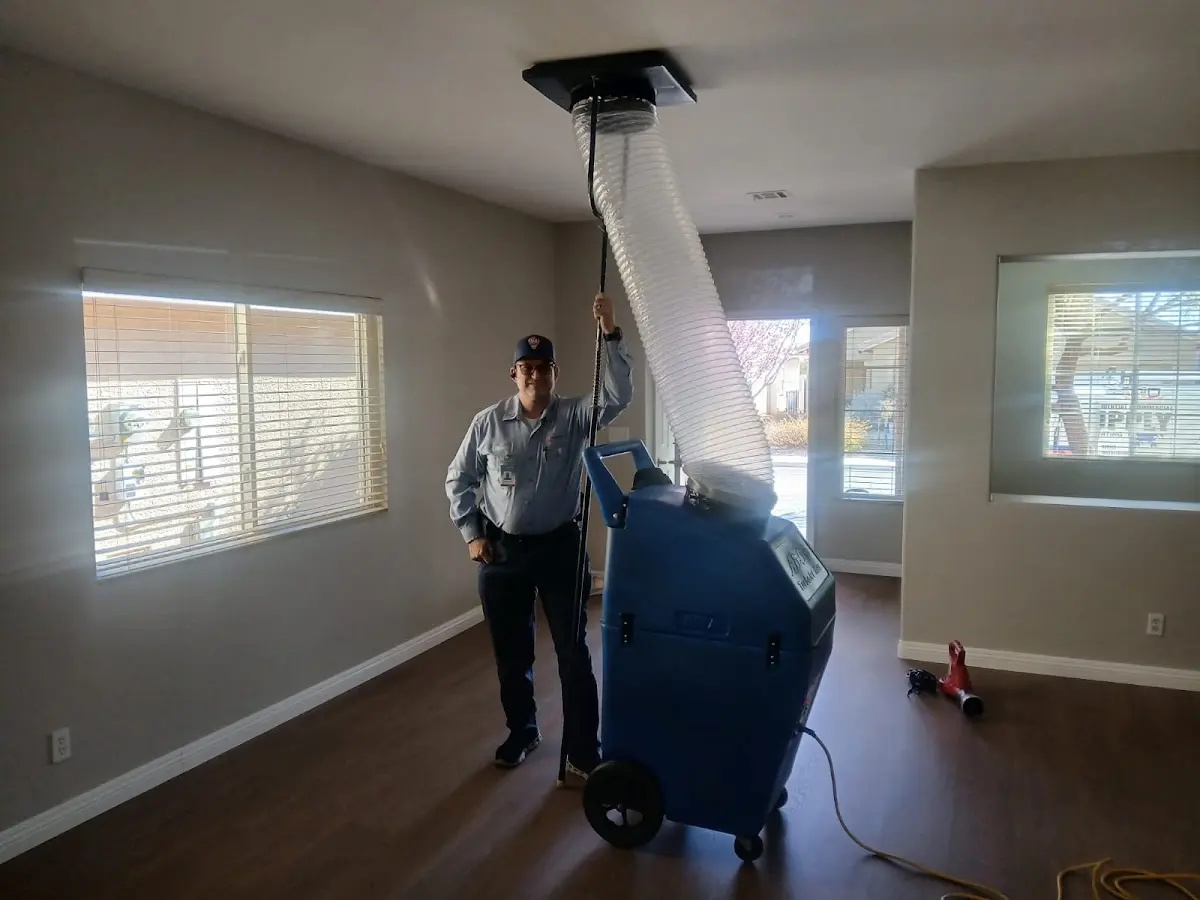 Professional Dryer Vent Cleaning work inside a Thornbury home